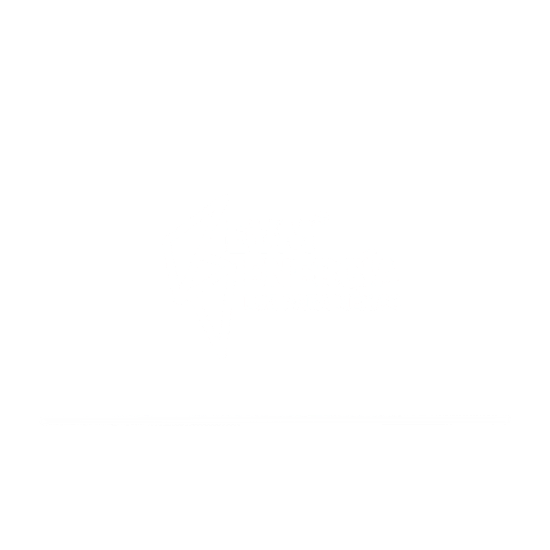 EVM Energía